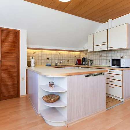 Rotbuche Westerholt (Lower-Saxony)