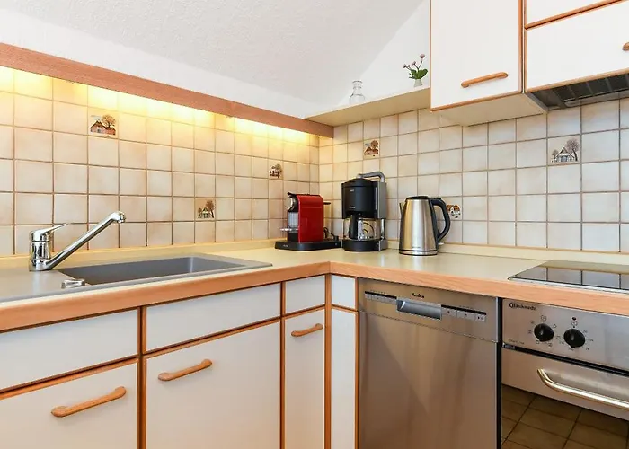 Rotbuche * Westerholt (Lower-Saxony)